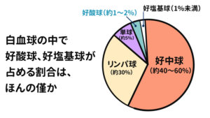 どの白血球数が懸念されますか?