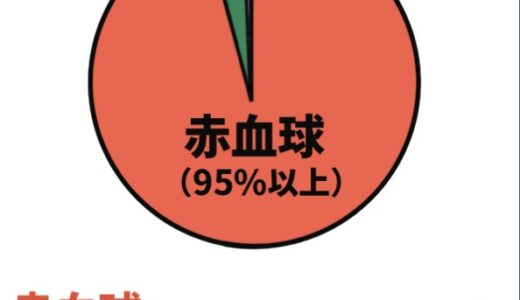 血液の固体成分「血球」の成分と働き