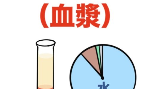血液の液体成分「血漿」の成分と働き