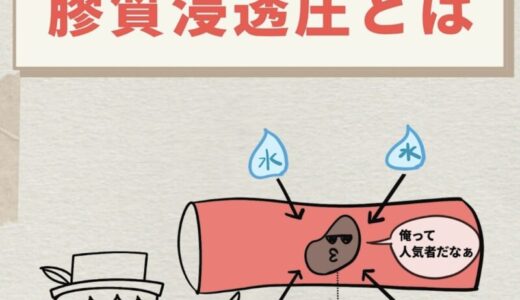 浮腫はなぜ起こる？浸透圧と膠質浸透圧をわかりやすく解説
