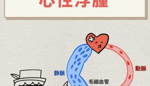右心不全で浮腫が起こるしくみ｜中心静脈圧と毛細血管内圧をわかりやすく解説
