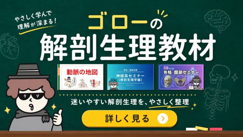 セミナー 