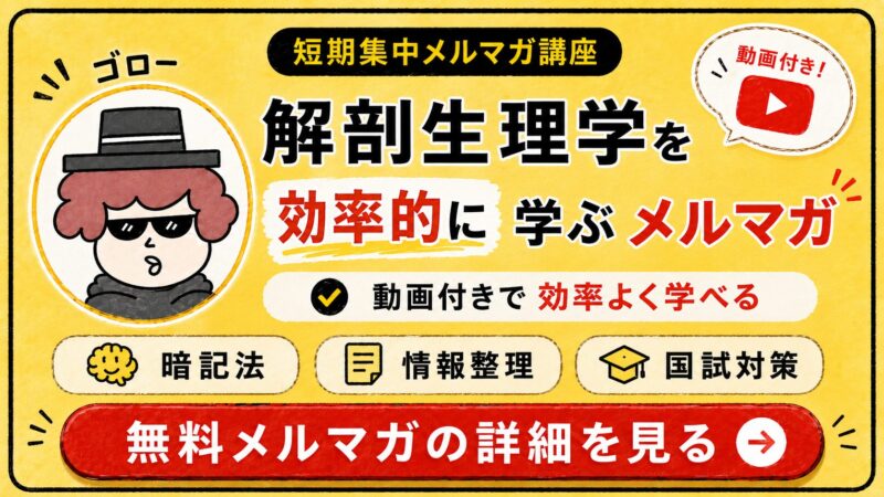 merumaga