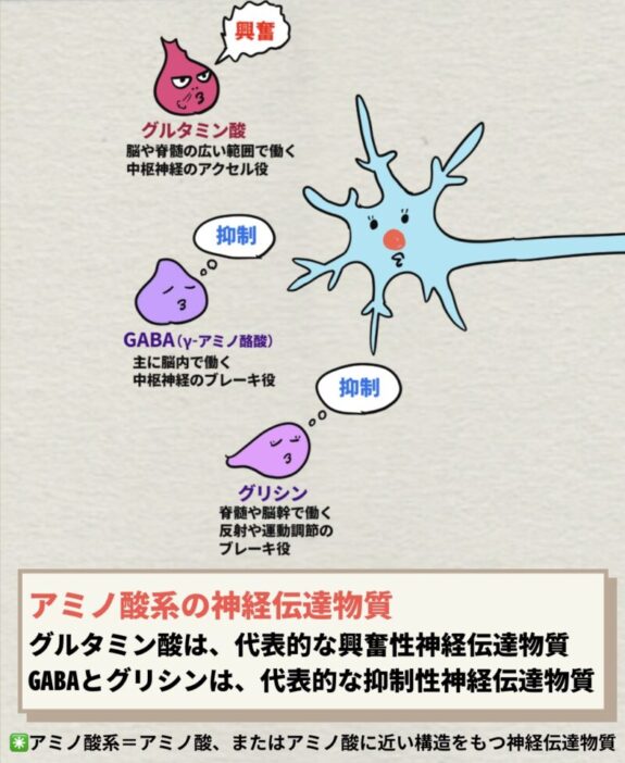 アミノ酸系の神経伝達物質