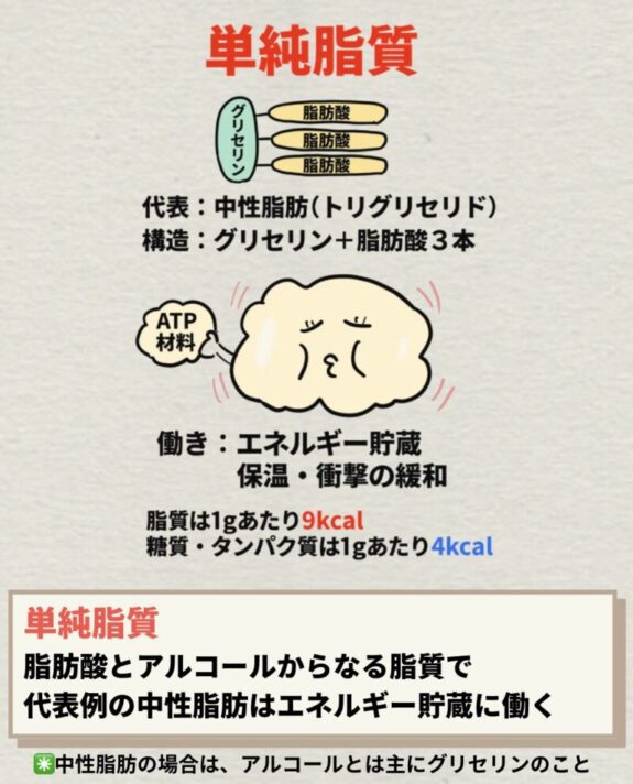 単純脂質