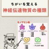 神経伝達物質の種類
