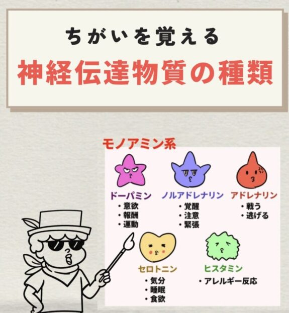 神経伝達物質の種類