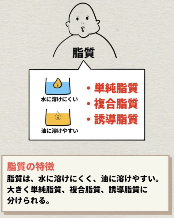 脂質の特徴