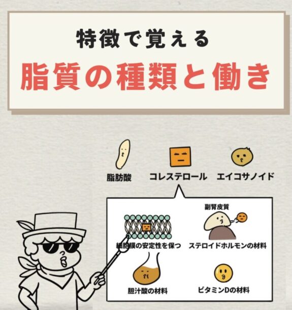 脂質の種類と働き