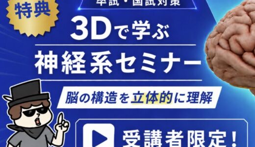 神経系セミナーに特典追加｜3Dで学ぶ脳の構造