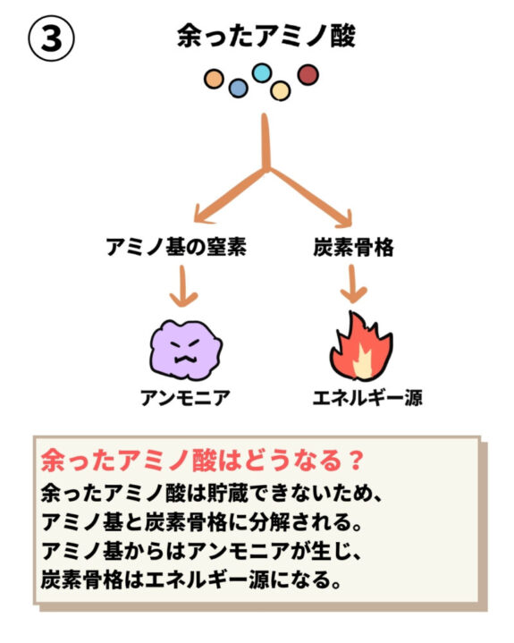 アンモニア