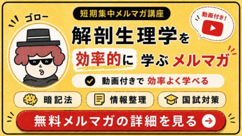 無料メルマガ講座
